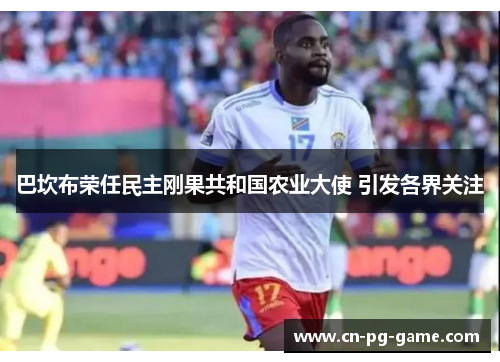 巴坎布荣任民主刚果共和国农业大使 引发各界关注