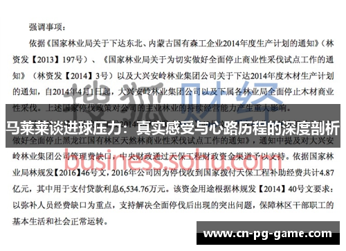 马莱莱谈进球压力：真实感受与心路历程的深度剖析
